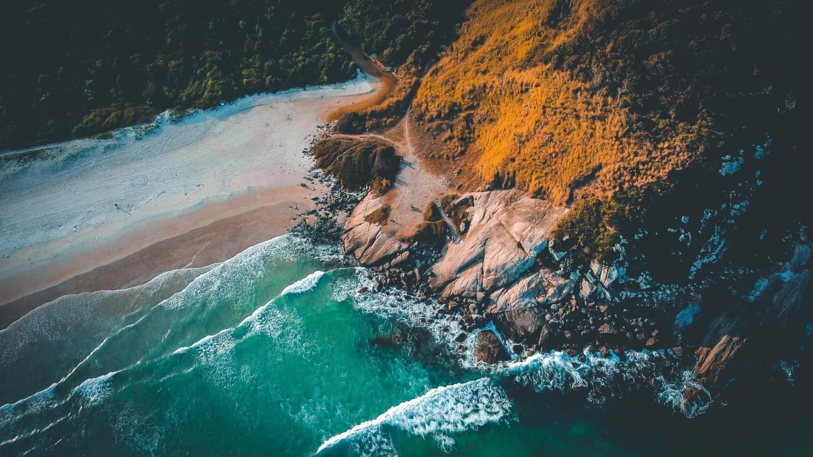 Aerial view of a rocky shore where turquoise surf breaks over boulders, between a pale sandy beach and a hillside of orange grass and dark forest